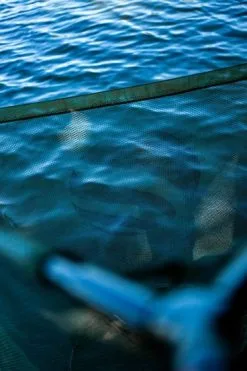 Cygnet Tackle Cygnet - Sniper Landing Net - 2 Piece -Carp Fishing Rods Verkoop Winkel 619505 cygnet sniper landing net 15