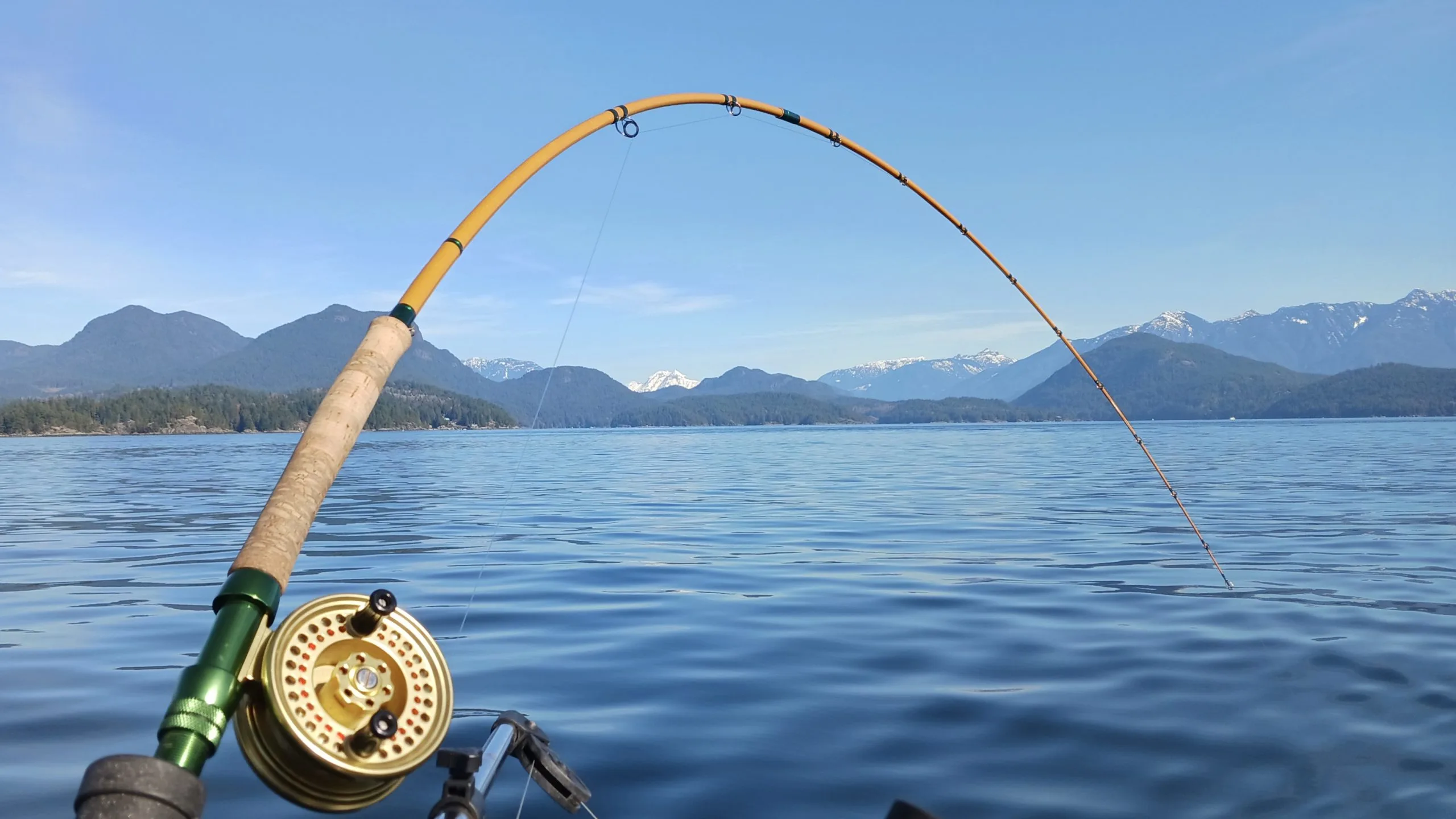 Carp Fishing Rods Verkoop Winkel -Carp Fishing Rods Verkoop Winkel ABF Charters Banner Image 14AC48F8 5056 B3A8 4975B056AA8A25BC 14ac44e95056b3a 14ac56c4 5056 b3a8 49306dd48234c6a0 2 scaled