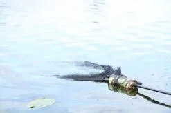 Cult Tackle - DPM Net Float -Carp Fishing Rods Verkoop Winkel dpm netfloat 4