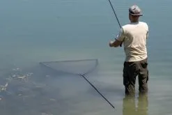 Korda - Spring Bow Net 6' -Carp Fishing Rods Verkoop Winkel image 1