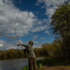 Prologic - C-Series Compact Rod -Carp Fishing Rods Verkoop Winkel ivzlju0u637595981788094403