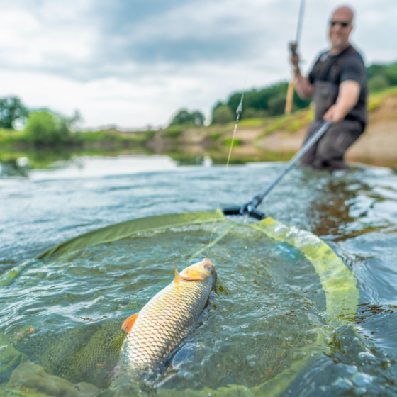 Korum - Fast Net Head 8 Korum - Fast Net Head - Afbeelding 8